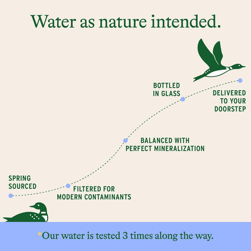 Pack 6, 750mL Loonen Spring Sourced Sparkling Water, Glass Bottled High Carbonation, Minerals, Magnesium, Potassium