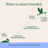 Pack 6, 750mL Loonen Spring Sourced Sparkling Water, Glass Bottled High Carbonation, Minerals, Magnesium, Potassium