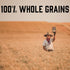 Pack 100% (2, 20oz) (1, 18oz) Kodiak Cakes Power Cakes Variety - Protein Pancake Mix Just Add Water - Whole Grain