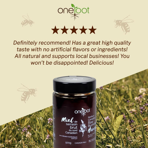 500g 17.6oz, Antioxidant-Packed OneRoot Raw Buckwheat Honey / Unheated & Unprocessed Dark Nutrient-Rich, Natural