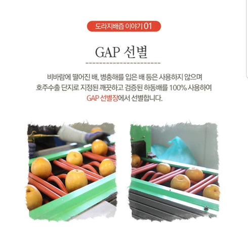 generic Premium Real Korean Pear, Balloon Flower Root, & Ginger Juice - No Preservatives or Artificial Additives