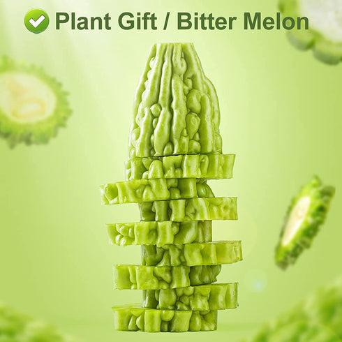 Linn.16oz Greenlike Bitter Melon FruitKu Gua GanFruit of Momordica charantia