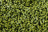 8566735 Simcoe Hop Pellets, 1 lb.