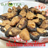 Generic 200g Premium Dried Oyster Meat | Authentic Umami Flavor Seafood Ingredient | Whole Small Dried Oysters