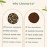 (50+ 3.53oz) VAHDAM, Double Spice Masala Chai Tea Cups, Strong, Robust & Spicy Blend - Black Tea CTC, Cardamom