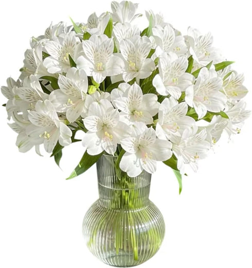Cassiolina 10 Stems Fresh Alstroemeria Flowers Peruvian Lily Bouquet Mixed Color Stems Long Lasting Fresh Flowers