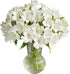 Cassiolina 10 Stems Fresh Alstroemeria Flowers Peruvian Lily Bouquet Mixed Color Stems Long Lasting Fresh Flowers