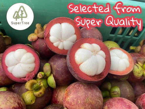 100% 70G (2.5oz), (1-pack, Premium Whole Freeze Dried Tropical Fruits, Fruits, Natural, Nothing Else Added. Mangosteen)