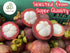 100% 70G (2.5oz), (1-pack, Premium Whole Freeze Dried Tropical Fruits, Fruits, Natural, Nothing Else Added. Mangosteen)