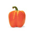 Fresh Produce Orange Bell Pepper