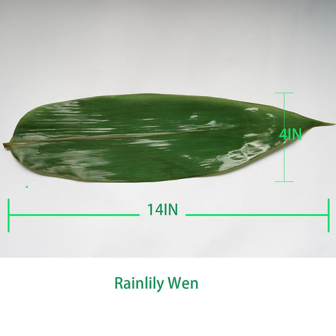 Leaf Bamboo 100 Pcs Bamboo Leaf for Cooking Zongzi 4 * 14'' Banana Leaf Substitutes Making Chinese Snack Vacuum Freash Leaves Wrap Foods