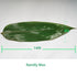 Leaf Bamboo 100 Pcs Bamboo Leaf for Cooking Zongzi 4 * 14'' Banana Leaf Substitutes Making Chinese Snack Vacuum Freash Leaves Wrap Foods