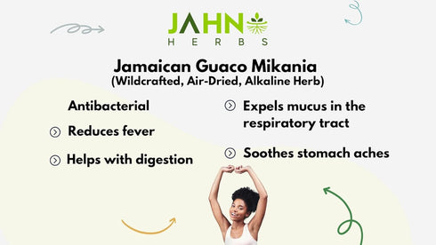 Wildcrafted Jamaican Guaco Mikania - Air-Dried Alkaline Herb