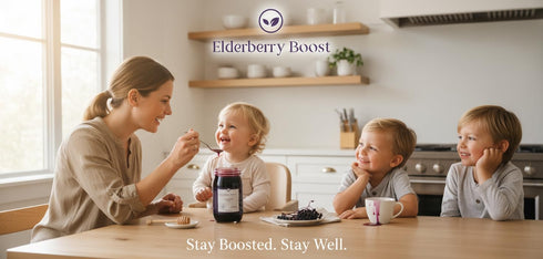 Elderberry Boost Immune Elderberry Syrup Made with Organic Elderberries & Raw Honey | All-Natural Support, Cold and Flu