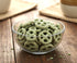 DM Sweets 1 lb Key Lime Yogurt Covered Pretzels Resealable Bag | Sweet & Tangy Crunchy Snack | Gourmet YogurtDipped