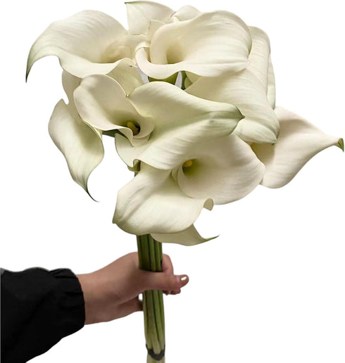 10 White Calla Lilies Fresh Cut Flower Los Angeles Flower Market Birthdays Anniversaries Friendship and Love Gifts
