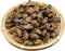 Generic Dried Oyster,the Dried Oyster,Sea Oyster Dry,dried Sea Oyster,the Dry Sea Oyster,hailigan,Dried Oysters,natural