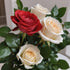 6 KaBloom - Red and white Roses with Vase - Fresh Flowers for Birthday, Valentine's & Mother's Day