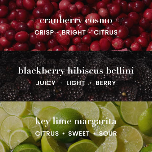 Pack, 12 OZ (Pack 12) Mingle Mocktails - Variety Blackberry Hibiscus Bellini, Cranberry Cosmopolitan, Key Lime