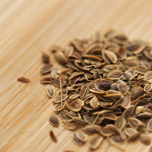 (2.4 GranAroma Ground Dill Seed, Aromatic Herb, Seasoning for Pickles, Salads, and Seafood Dishes Ounce)