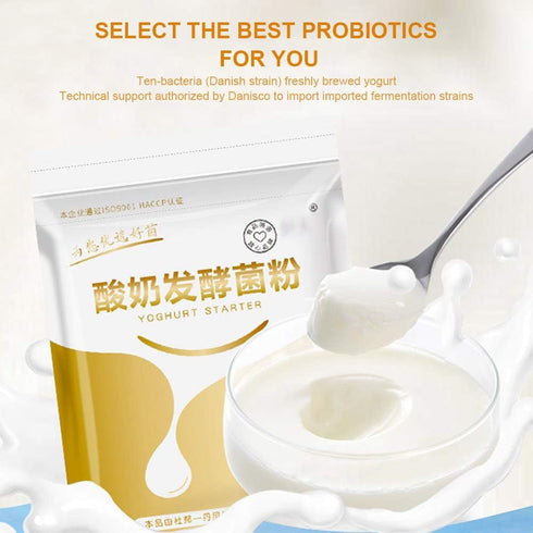 Homemade Yogurt Starter Culture Powder for Creamy Yogurt | Lactobacillus Strains