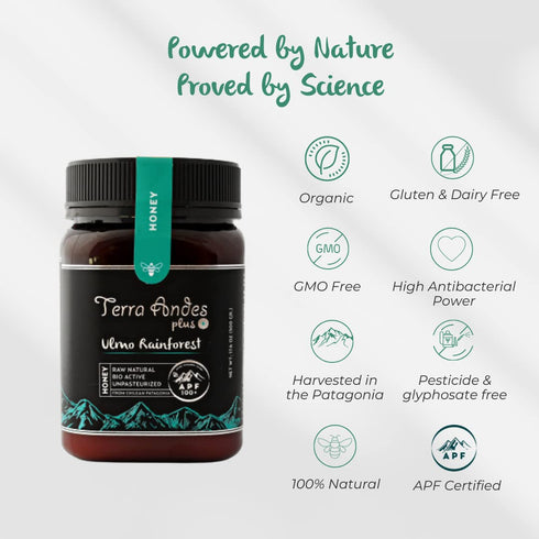 150+ 8.8 oz Ulmo Rainforest Raw Honey by TERRA ANDES PLUS | APF Pure Honey