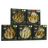 Pack 5 4.2 oz Packed Grilled Catch - Canned Sardines Variety Flavor Sampler European Wild Caught Brisling Sardines