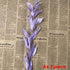 Artist Unknown 5PCS/35-40CM Zamihalaa Natural Dried Orange Leaves Preserved Lily Flowers Bouquet,Dracaena Reflexa