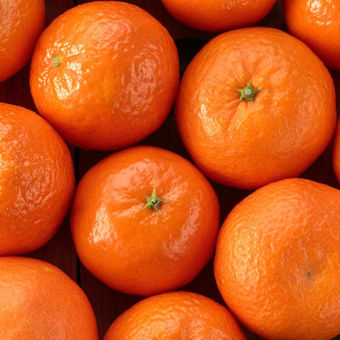 3 Capital City Fruit Fresh Clementines Gift Box | Gift for Holiday, Thank You, Get Well | Sympathy Gift Box | Sweet