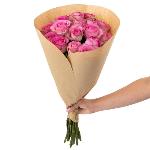Falcon Farms Inc 18 Pink Roses Bouquet Fresh Cut Flowers-Lasting Roses for Gifts, Birthdays & Anniversaries .