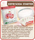 Cutting Edge Cultures 4 Pack 8g Delbrueckii Kefir Soda Starter Culture Bubbly Probiotic Fermented Beverage Make Fizzy