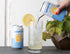 12 oz, (pack 8) Spindrift, Sparkling Water, Lemon