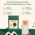 VAHDAM First Flush Darjeeling Tea - 50 Cups (3.53oz) | Loose Leaf Black Tea, Flowery & Aromatic