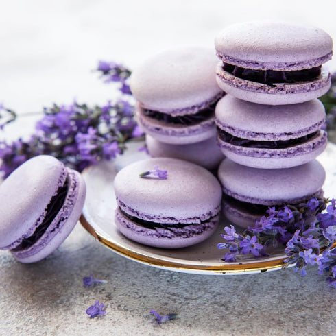 1 lb Gourmet Lavender Vanilla Sugar - Jar