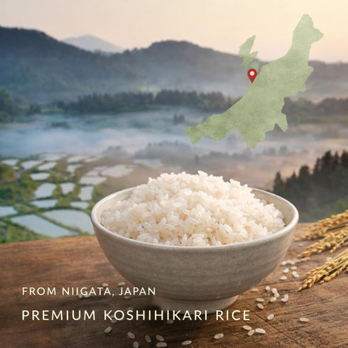 Generic 11 LB (2025 Premium Koshihikari Rice from Niigata Japans Most Celebrated Rice Region | Luxurious Short Grain