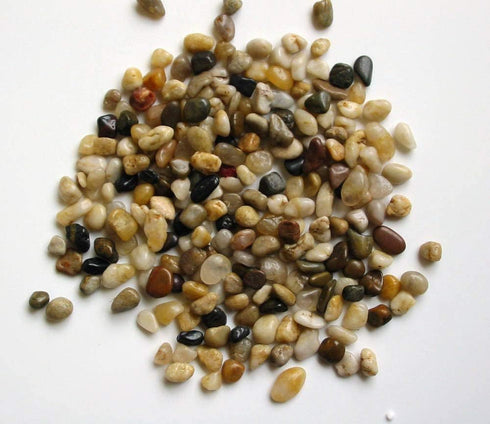 Athena's Garden Set 2 2" 3" A of Live Succulents in White Square Pots Each Supported with Natural Polished River Rocks