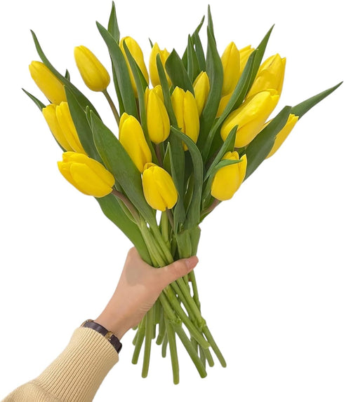 20 Next day delivery Yellow Tulips Fresh Cut Flowers Wheat Field Bouquet Gifts for home decoration birthdays friendship