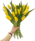 20 Next day delivery Yellow Tulips Fresh Cut Flowers Wheat Field Bouquet Gifts for home decoration birthdays friendship