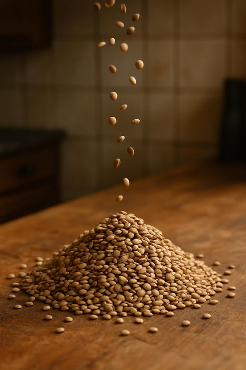 Generic Premium Dried Lentils | US Grown | Bulk Cooking Legumes | Natural