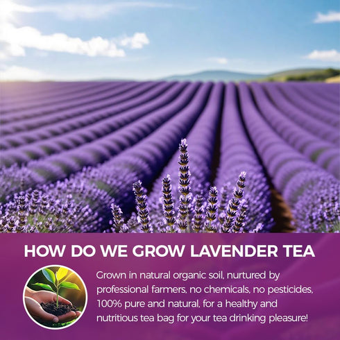 WOTIHA (17.6 oz) 100% 500g Culinary Grade Lavender Powder - Pure Ultra-Fine Lavender Flower Powder for Baking, Tea
