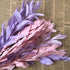Artist Unknown 5PCS/35-40CM Zamihalaa Natural Dried Orange Leaves Preserved Lily Flowers Bouquet,Dracaena Reflexa