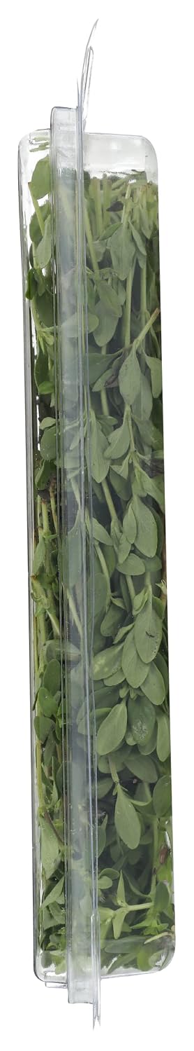 Fresh Produce 0.75 Herb Thyme Organic, Ounce