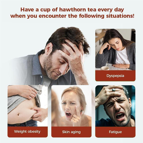 WOTIHA 65 Count 100% Immunity, Premium Hawthorn Berry Tea Bags - Natural, Aids Digestion, Rich in Antioxidants, Boosts