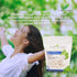 Evergreen Sweets 400 Chewing gum - Pieces Per Bag - Natural Peppermint Gum Made with Xylitol and Stevia - Sugar-Free