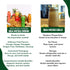 Nourish Kings All-Natural Juice with Sea Moss - Soursop Rambutan Flavor