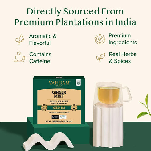 (100 Count) VAHDAM, Ginger Mint Green Tea Bags High Grown Green Tea with Raw Ginger | Medium Caffeine | Non GMO, Gluten