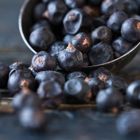 (2.56 Olive & Vine Juniper Berries, Earthy & Piney Flavor, Seasoning for Game Meats, Sauerkraut, Gin Infusions, Rich