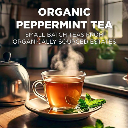 Maud's Organic Peppermint Tea Pods, 24 ct Recyclable Single Serve Pods, Compatible with Keurig K Cups
