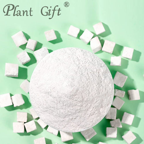 Plant Gift 100% 100G/3.25oz Pure Poria Cocos Powder Natural Poria Cocos Flour, Great Flavor for Drinks, Adds Flavor