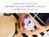 Pure Bulgarian Lavender Extract for Baking and Mixology, Keto Friendly, Vegan, Gluten Free (Lavender, 2 Oz)